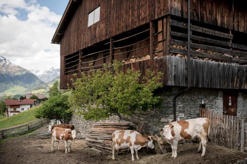 Ferienhaus Innerkienzerhof - Urlaub am Bauernhof