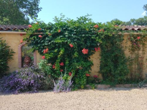 Albi à proximité, maison d'hotes les oliviers