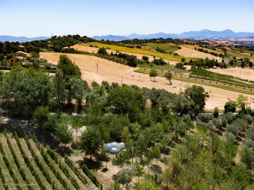 La Bolla del Borgo. Le Marche tra le stelle. - Hotel - Corinaldo