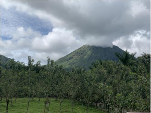Aunty Arenal Lodge, Fortuna (Foto 9)