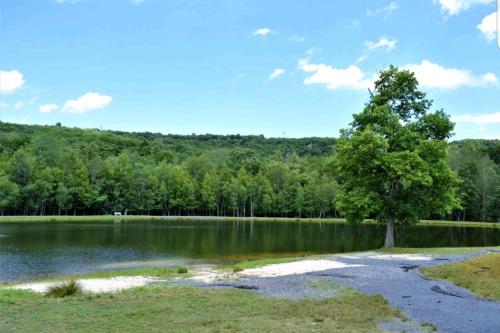 *Amenity-Filled Waterfront Oasis @Saw Creek Estates Near WaterFalls and Hiking* photo 1