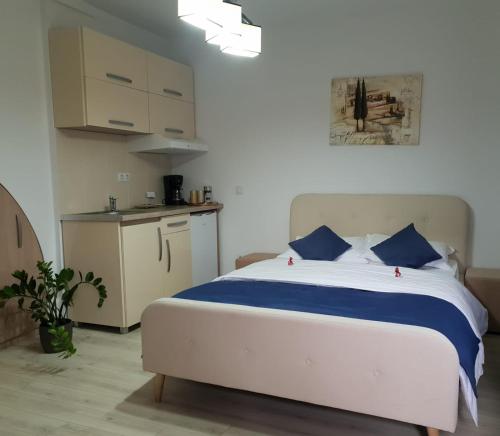 Studio Piata Mare apartments