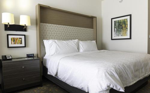 Holiday Inn Glendale - Stadium & Ent Dist - image 11
