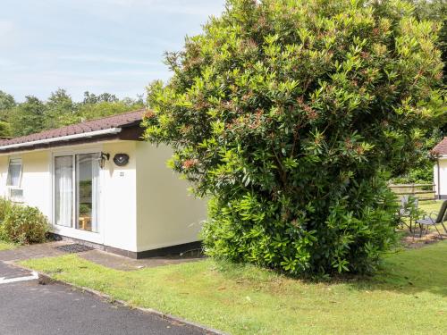 Peacehaven Liskeard - main image