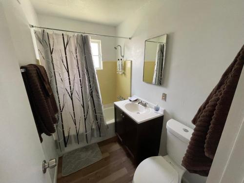 Renovated 2 Bedroom House At Biltmore - image 7