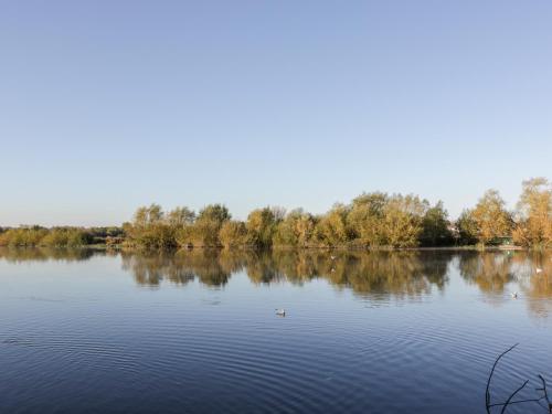 23 City Walls Chester - image 11