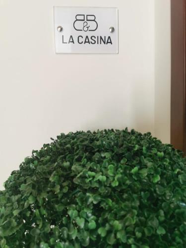 La Casina B&B