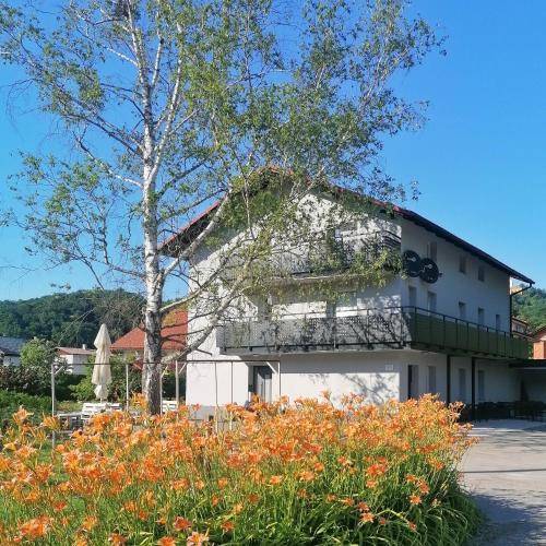 Apartments & rooms Saša, Podčetrtek
