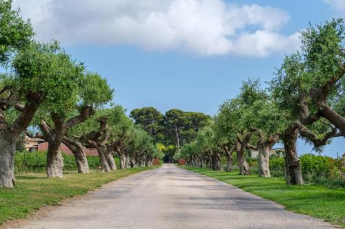 Photo - Hotel Mas La Boella