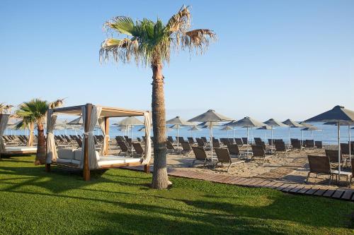 Minoa Palace Resort & Spa - image 11