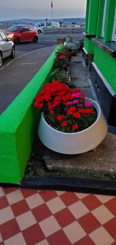 Ash Hotel - image 5