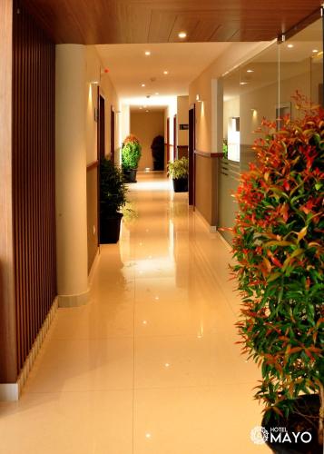 入口, 梅奧酒店 (Hotel Mayo) in 米南戈迪