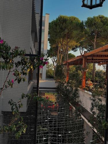 Divjaka Resort - image 13