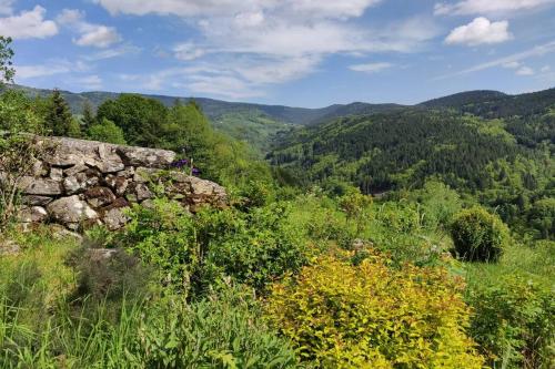 Superbe gîte Laugy dans les montagnes d'Ambert gîte à louer Ambert