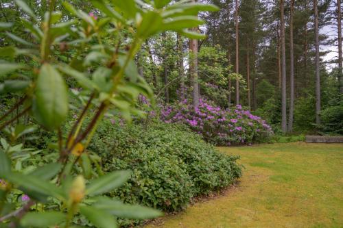 Haven Retreat Scotland - Large 4 Bed House with Woodland garden, Aboyne ,Royal Deeside