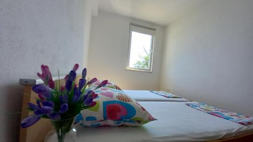 Apartmani Antonini 1