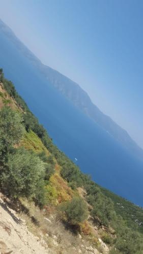 Villa Fredi - image 9