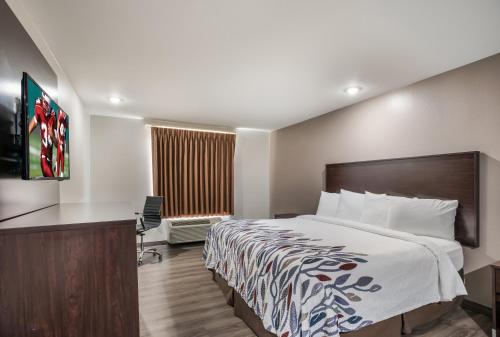 1 queen bed