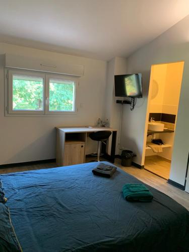 Grande chambre dans logement partagé - Apartment - Seilh