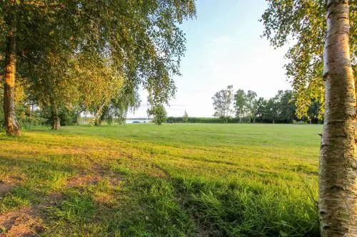 Schilfkante - Am Ufer in Wieck, Deutschland