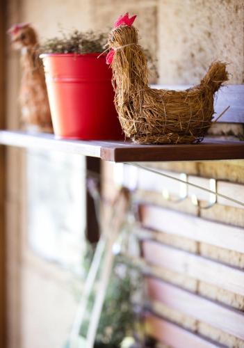 B&B Al Vecchio Fontanile – Cerveteri