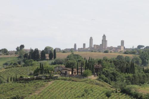 Podere Vigna Del Sole