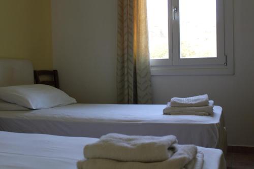 Blue Dolphin Room Type - Classic Quadruple Room