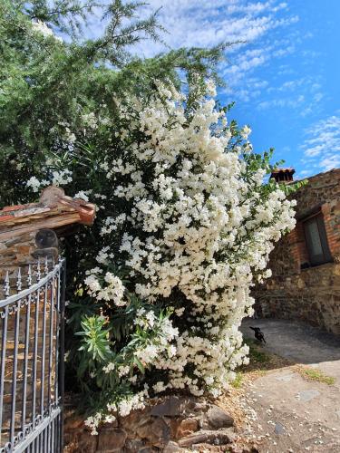 El Jiniebro Turismo Rural