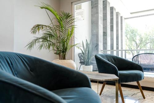 Előcsarnok, CASA BASALTO  in Pachuca