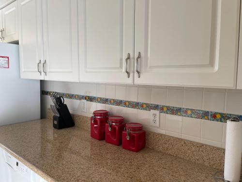 Hibiscus Pointe #553 - image 10