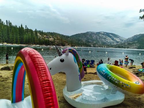 NEW! Cozy & Secluded House w/Deck - Near Yosemite! thumb 3