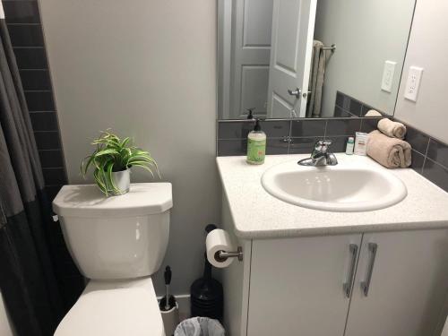 Close to the airport(YYC), Crossiron mall brand new home away from home unit.