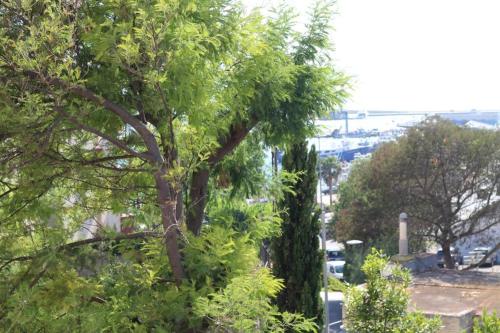  Junto al MAR en Rosas, Puig Rom NUEVO, WIFI, tranquilidad in Roses