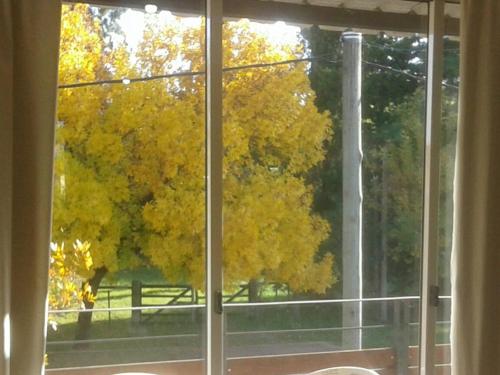 APARTAMENTO CON JARDIN TERMAS DEL DAYMAN
