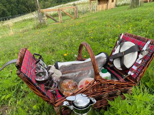 Boutique Glamping Divja DiVine