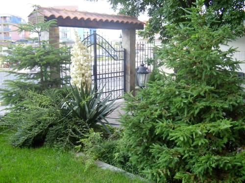 Terra Guest House