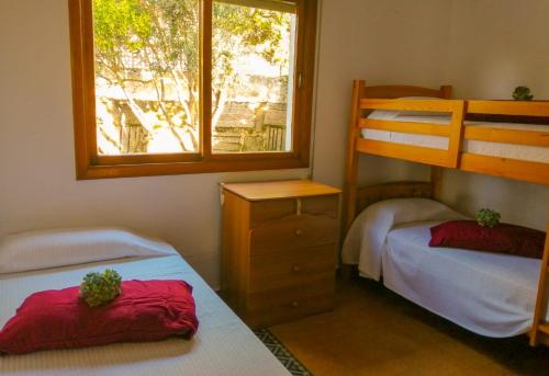 1 twin bed, 4 bunk beds