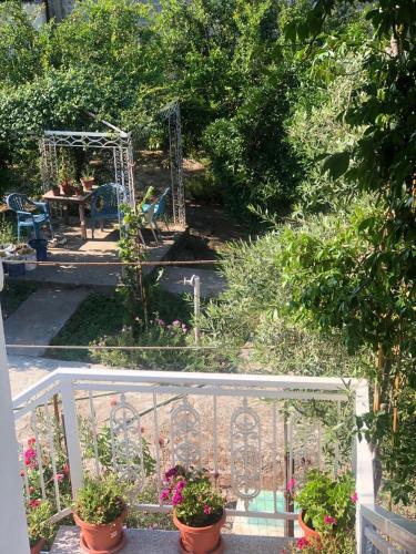 Fori Vodo in Divjake