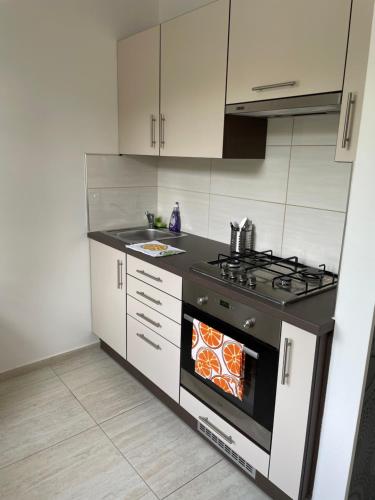 Katica Apartmanok, Шиофок (фото 2)