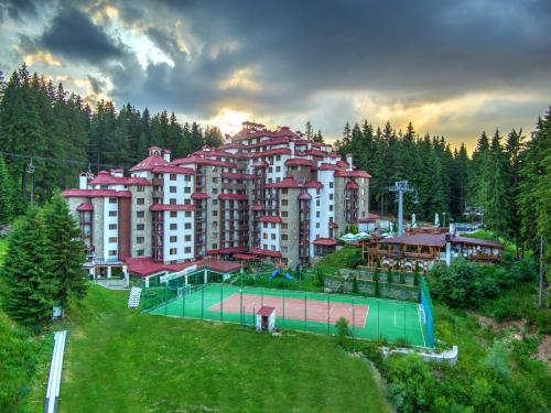 Complex Kamelia, 