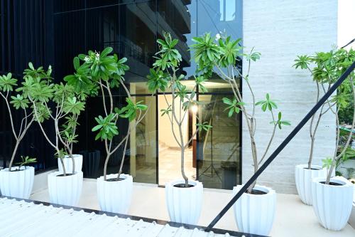 The Eden – Indore, OH