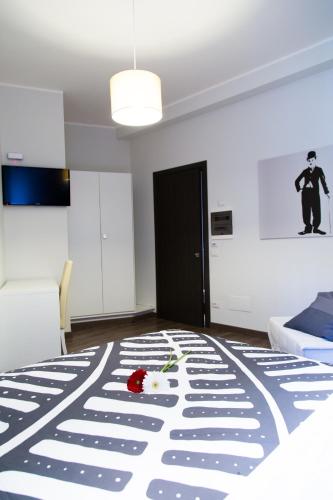 Modern BnB - image 10