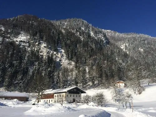 Alpaka-Hof Landinger in Aschau im Chiemgau, Deutschland