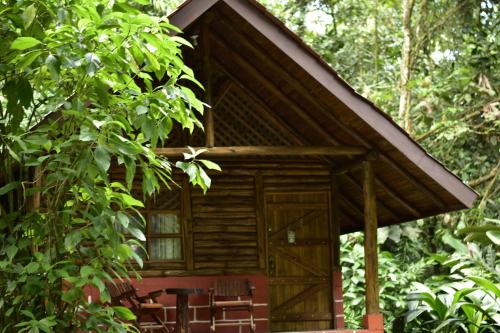 Arenal Oasis Eco Lodge & Wildlife Refuge, Fortuna (photo 10)