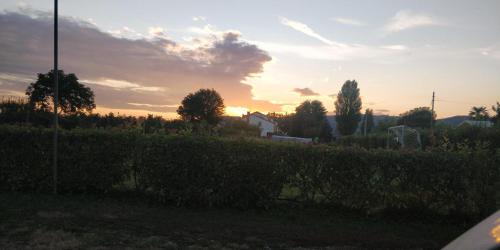 Agriturismo L'Albara - image 6