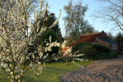 Bejárat, Field Cottage Bed and Continental Breakfast in East Harling