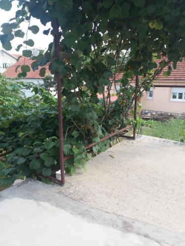 grădină, Apartman Mila i Kaja in Niksic