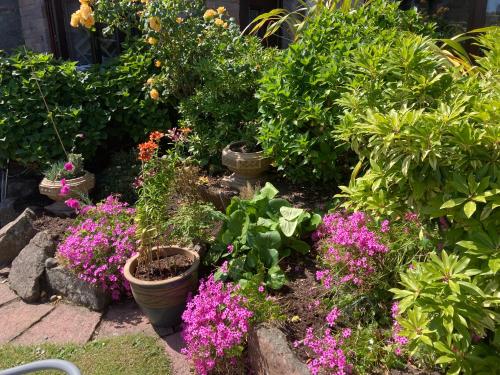 Friars Bridge Guesthouse – Inverness