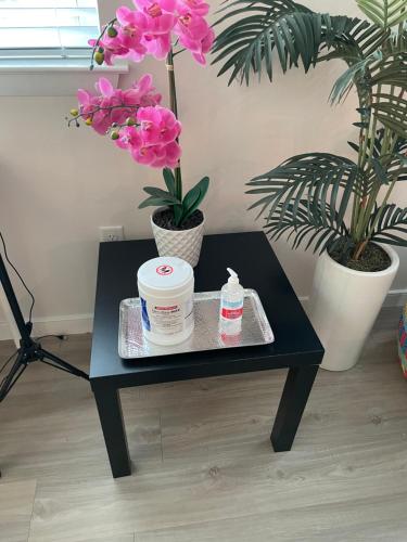 Lux House Of Champagne 2BR 2BA Free Parking & Wifi in Baltimore, USA