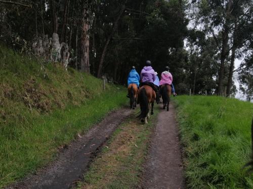 La Isabela Estancia Ecuestre